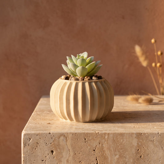 Bubble planter with artificial succulent, 3D printed in Sydney
