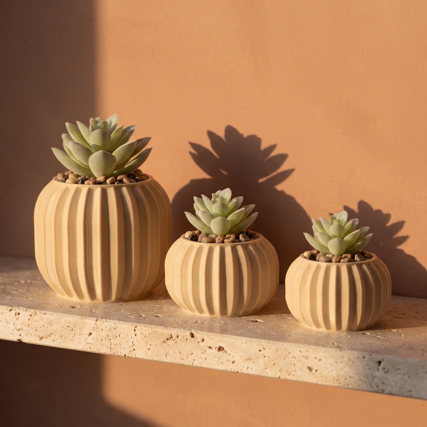 Bubble planter shown in all three heights: Small 40mm, Medium 50mm and Large 70mm. Sizes are sold separately.