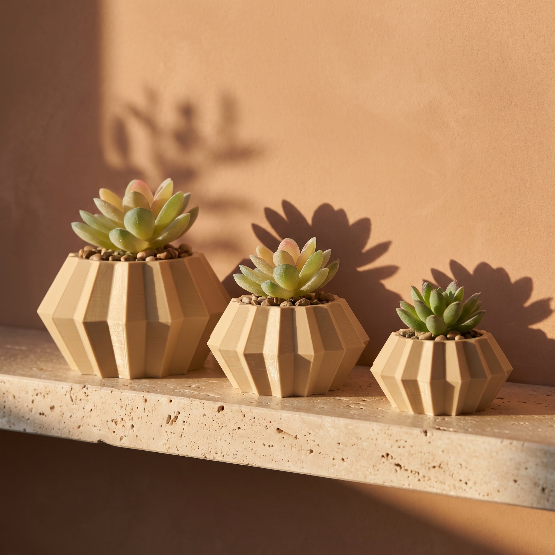 Facet planter shown in all three heights: Small 40mm, Medium 50mm and Large 70mm. Sizes are sold separately.